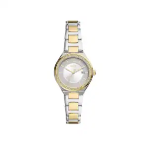 Reloj Fossil BQ3802 con diseño en plata y dorado, ideal para mujer y ocasiones formales o casuales.