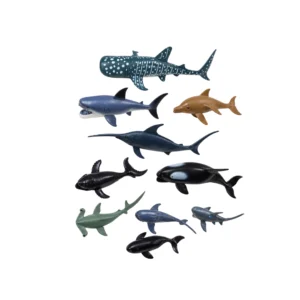 Set animales del mar