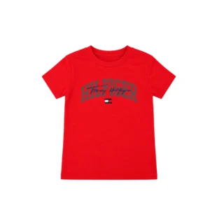 Camiseta Diseño Tommy Hilfiger